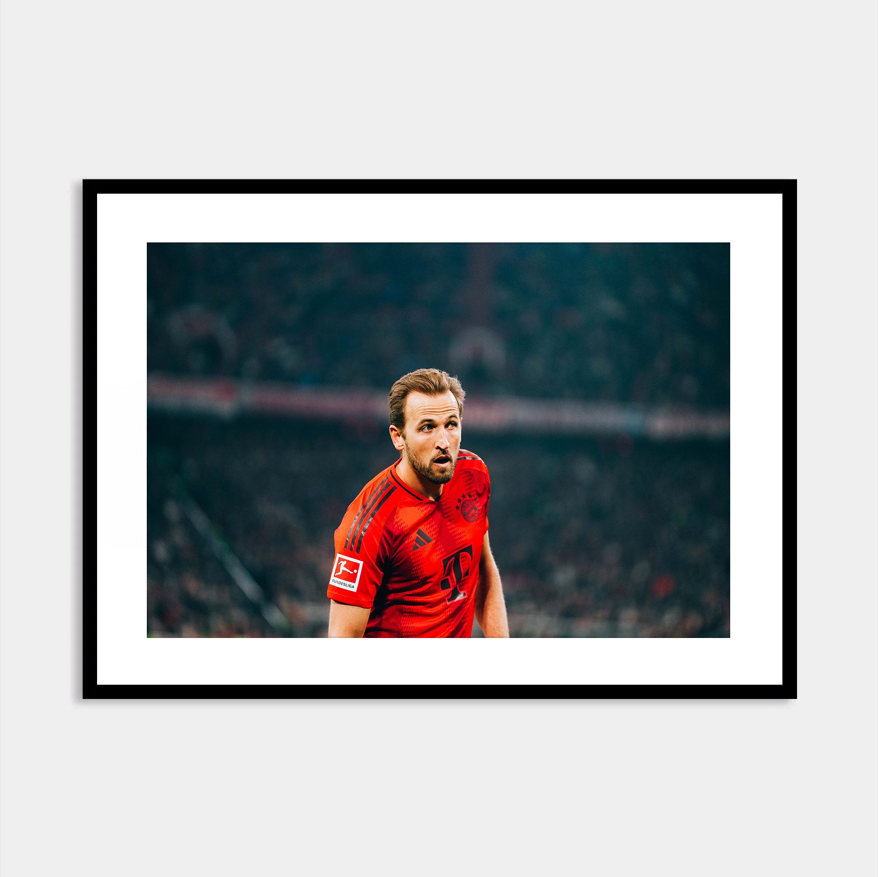 Harry Kane Portrait Print