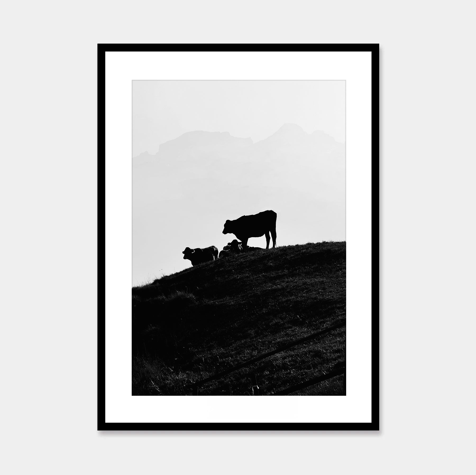Liechtensteiner Kühe Print